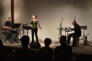 Allianzgebetswoche Konzert Hess 2015 (8)